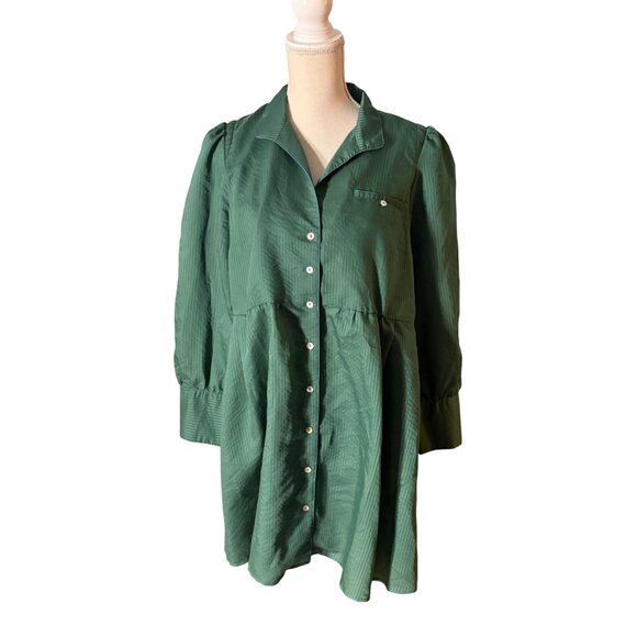 Tuckernuck Florence Shirt Dress size L large green stripe blue mini long sleeve - Picture 4 of 12